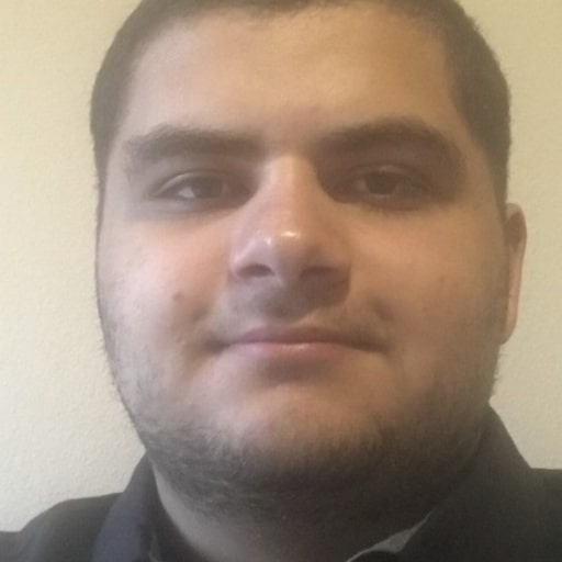 
Omar Elgazzar